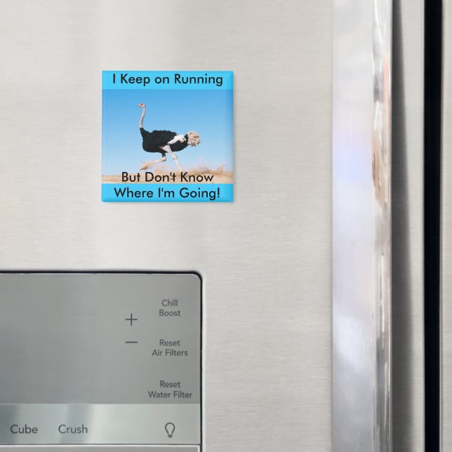 Íman Continue executando o Magnet de avestruz (In Situ (Fridge))