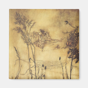 Íman Conto de Fadas Vintage, Cordabamba da Fada por Rac