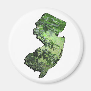 Íman Contorno do Estado da Floresta de Nova Jersey
