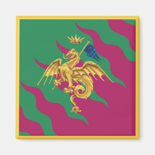 Íman Contrada del Drago (Dragão) Palio di Siena