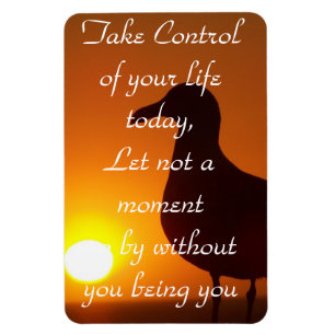 Íman Controle!
