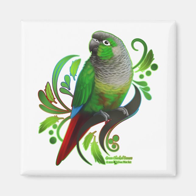 Íman Conure de Olho Verde (Frente)