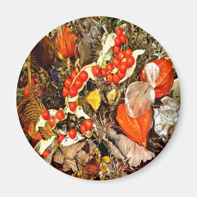 ÍMAN CONVÊNIO DO OUTONO ~ IMAGEM (Frente)