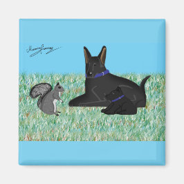 Íman Conversação Escura.