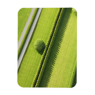 Íman Conversão no Hamptons