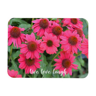 Íman Conversores Roxos Vivos, Amor, Ria