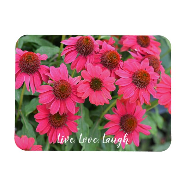 Íman Conversores Roxos Vivos, Amor, Ria (Horizontal)