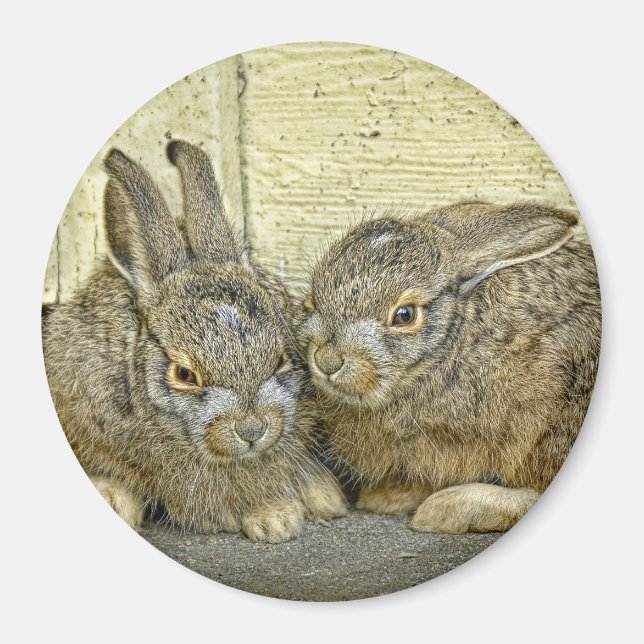 Íman Cony Babies (Wild) Magnet (Frente)