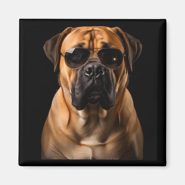Íman Cool Dog Sungles Bullmastiff Funny Look  (Frente)