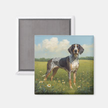 Coonhound Bluetick
