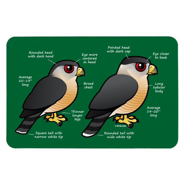 Íman Coop v Sharpie (Horizontal)