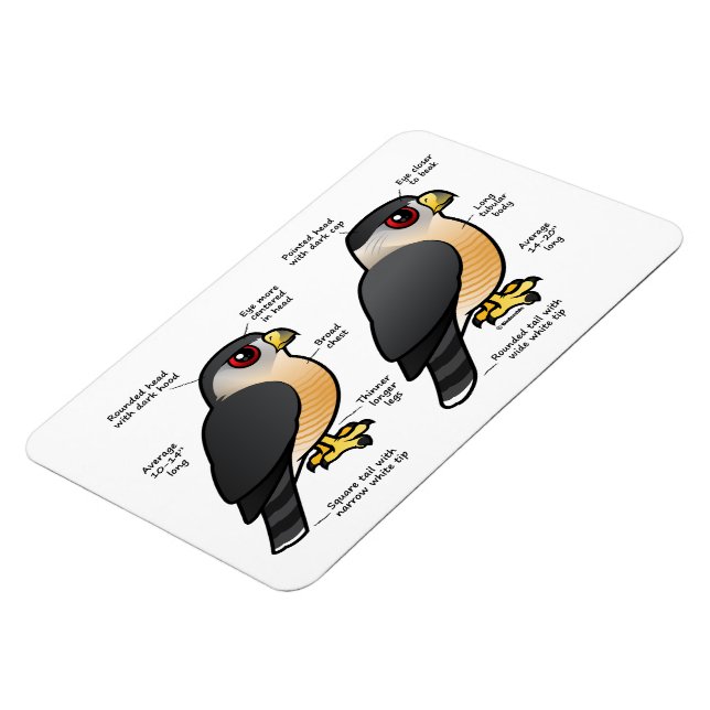 Íman Coop v Sharpie (Left Side)