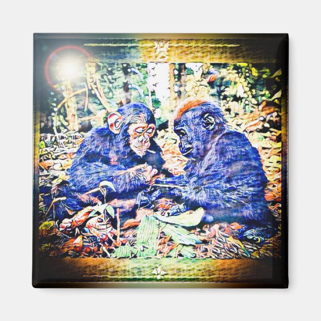 Íman Cooperação Chimp & Gorilla 01 (Frente)