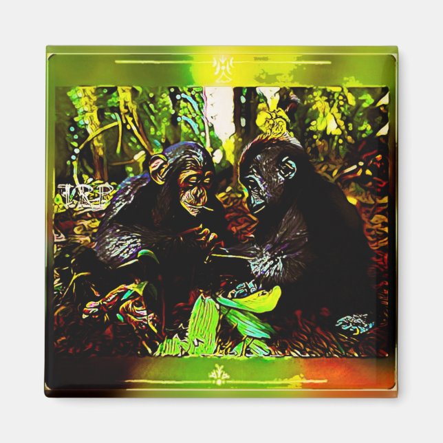 Íman Cooperação entre Chimp e Gorilla 02. (Frente)