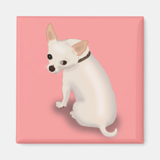 Íman cópia do pet4