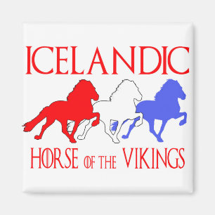 Íman cópia horseofthevikings2019