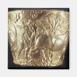 Íman Copo, descrevendo um touro doméstico