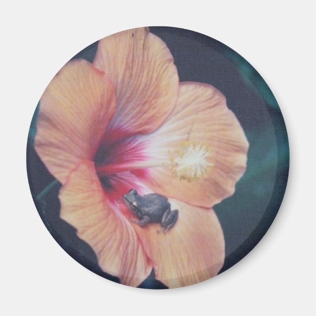 ÍMAN COQUI (Frente)