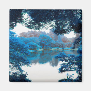 Íman Cor azul legal, natureza única, lago