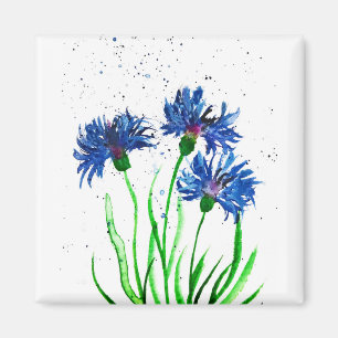 Íman Cor d'água do Cornflower