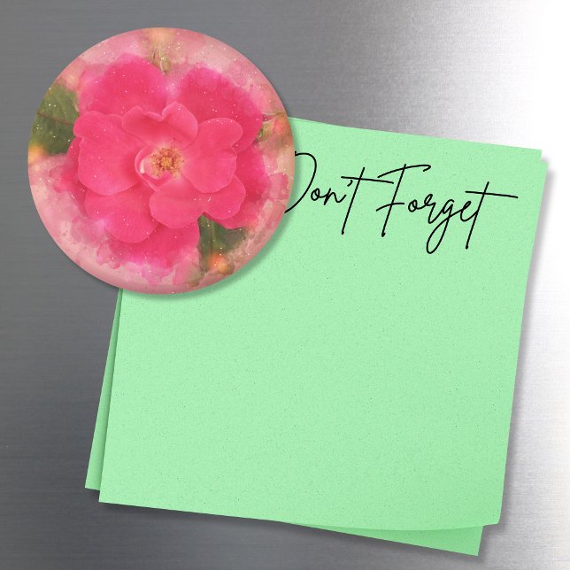 Íman Cor d'água do Rosa de Nivelamento Rosa (This watercolor style pink knockout rose photo magnet adds a pretty touch to any magnetic surface!)