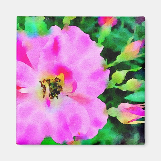 Íman Cor d'água rosa púrpura dos Rosas de Verão (Frente)