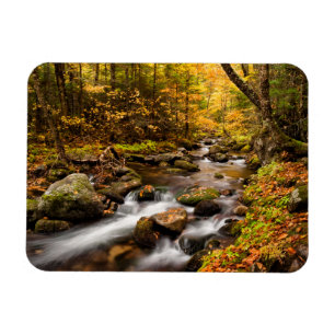 Íman Cor de queda Jefferson Brook Montanhas brancas
