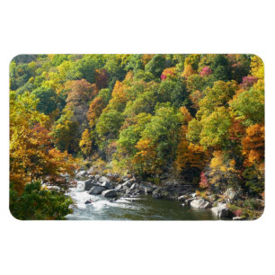 Íman Cor de queda no Parque Estadual de Ohiopyle
