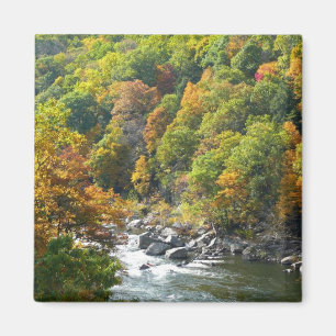 Íman Cor de queda no Parque Estadual de Ohiopyle