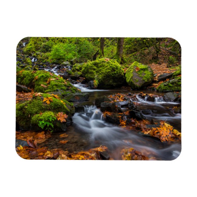 Íman Cor do outono ao longo da Starvation Creek Falls (Horizontal)