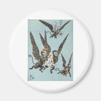 Íman Cor dos Macacos Voadores