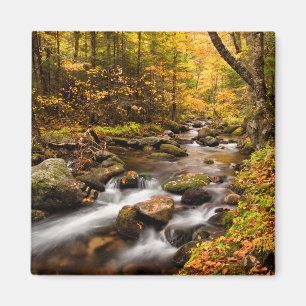 Íman Cor Jefferson Brook Outono Montanhas Brancas