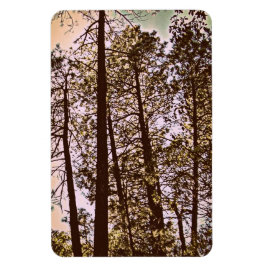 Íman cor pelas árvores