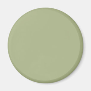 Íman Cor Verde Sálvia Empoeirada Cor Sólida