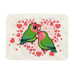 Íman Coração do amor do Lovebird