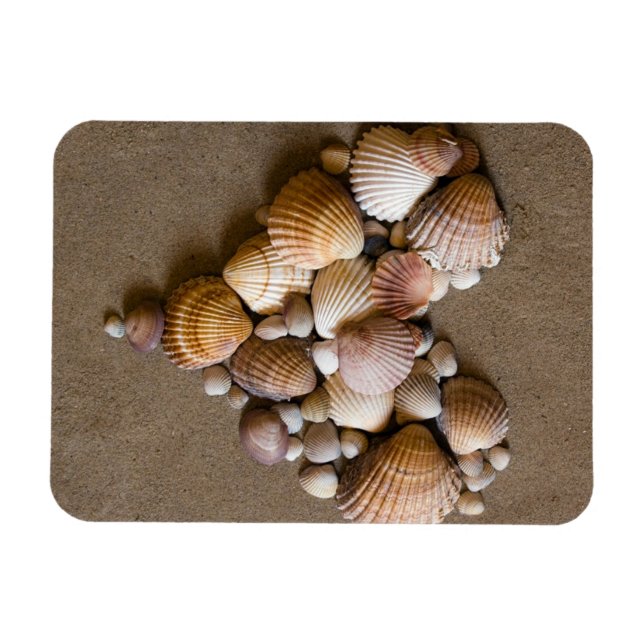 Íman Coração do namorados feito com conchas (Horizontal)
