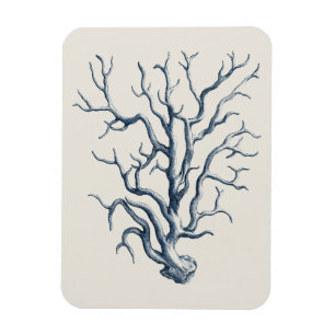 Íman Coral Indigo
