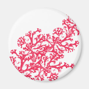 Íman Coral Motif Magnet