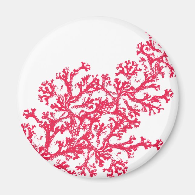 Íman Coral Motif Magnet (Frente)