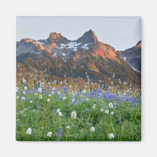 Íman Cordilheira Tatoosh e Flores Silvestres   Mt. Rain
