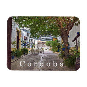 Íman Córdoba. 30.  