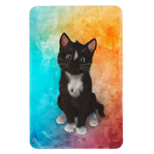 Íman Cores bonitos do gato