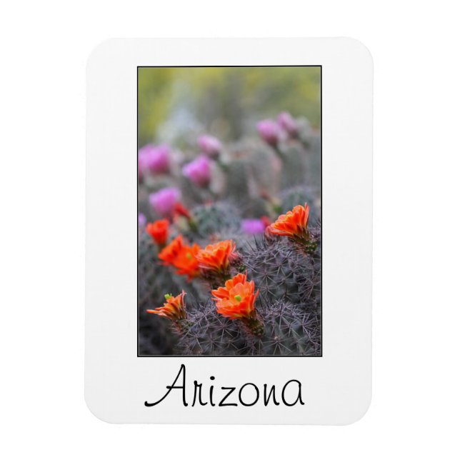 Íman Cores da Arizona do deserto (Vertical)