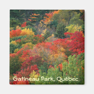 Íman Cores da queda no parque de Gatineau