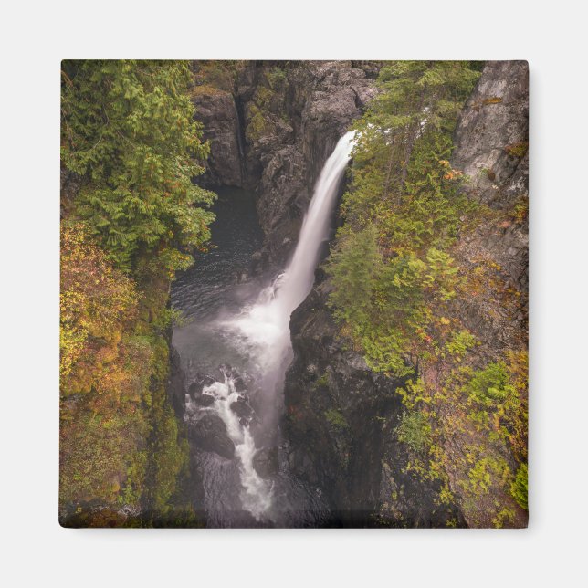 Íman Cores De Outono No Elk Cai (Frente)