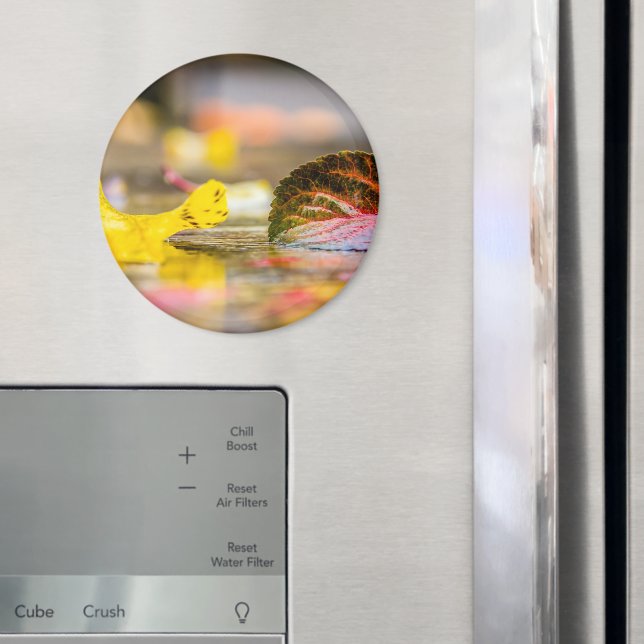 Íman Cores de queda (In Situ (Fridge))