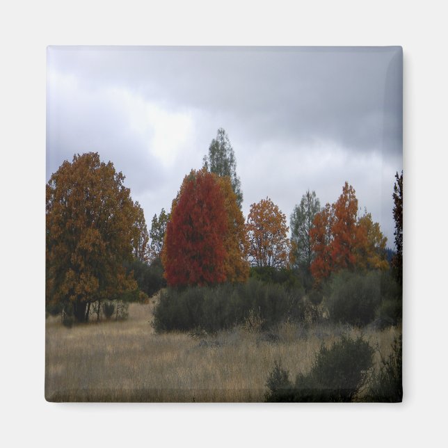 Íman Cores de queda do país...... (Frente)