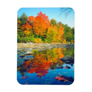 Íman Cores do outono refletindo em um fluxo em Vermont