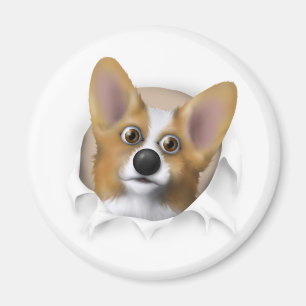 Íman Corgi 1 de Galês que rebenta para fora