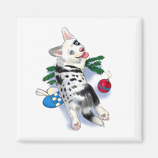 Íman Corgi azul-curva (Frente)